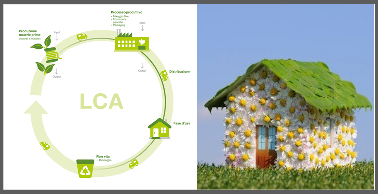 ciclo di vita_ecologico