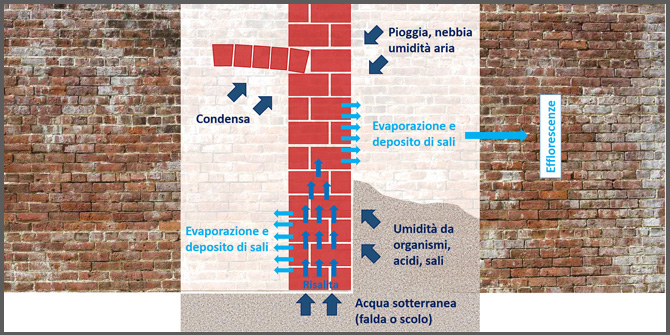 <img alt="schema fonti di umidità">