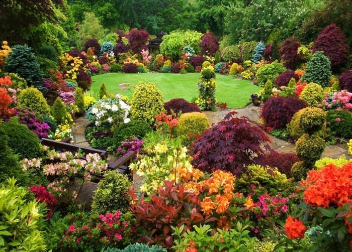 Giardino grande con fiori e piante 