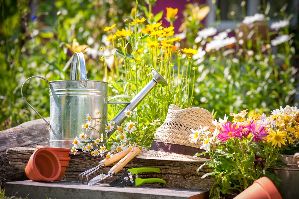 Preparare il giardino per l'estate